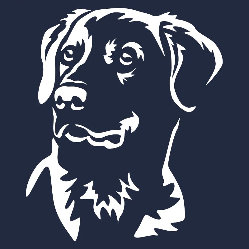 Tête de Labrador « Black Edition »
