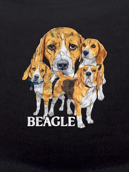 Beagle