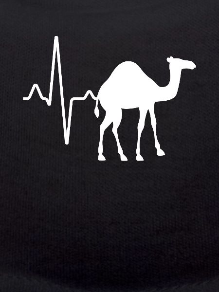 Dromedary Camel Heartbeat