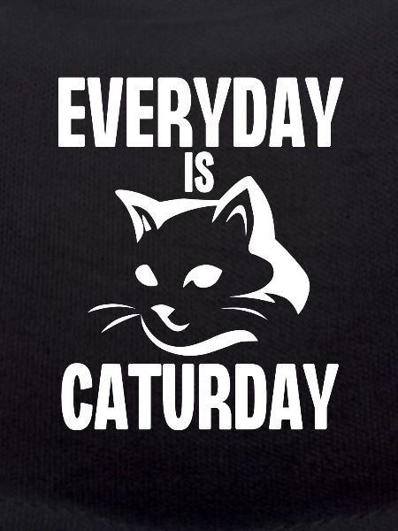 Everyday is Caturday