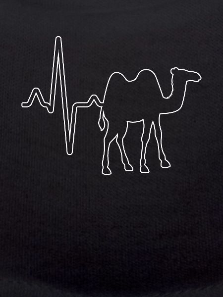 Dromedary Camel Heartbeat
