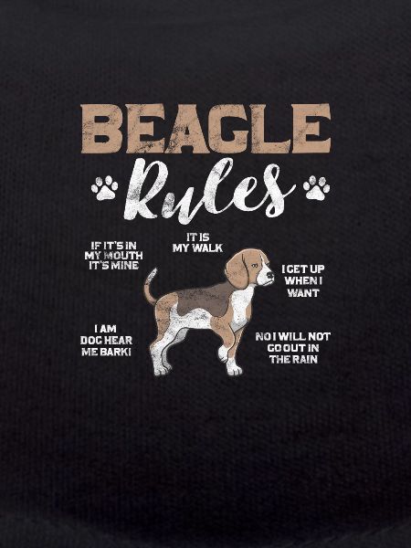 Beagle