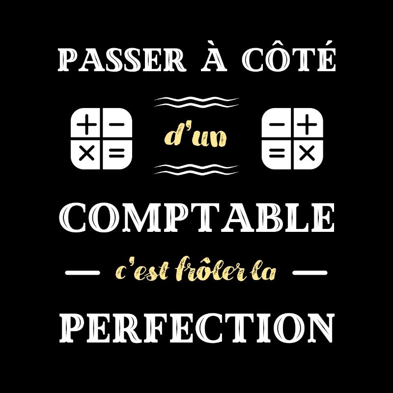 perfection comptable humour comptabilité homme