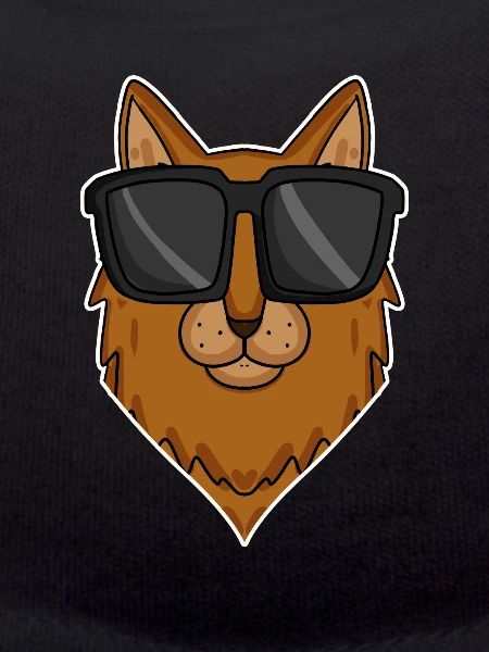 Somali cat with sunglasses
