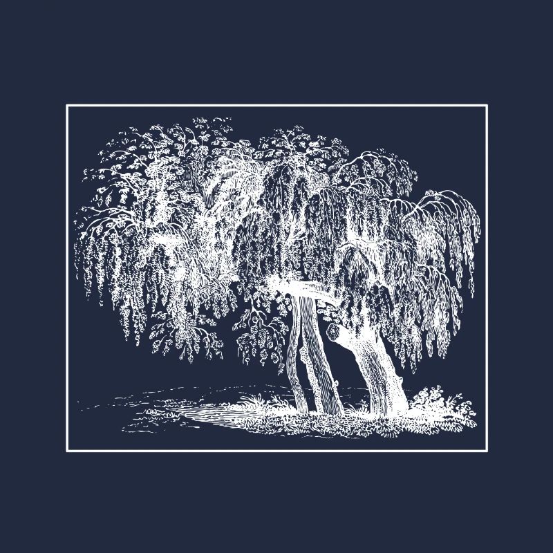 Arbre