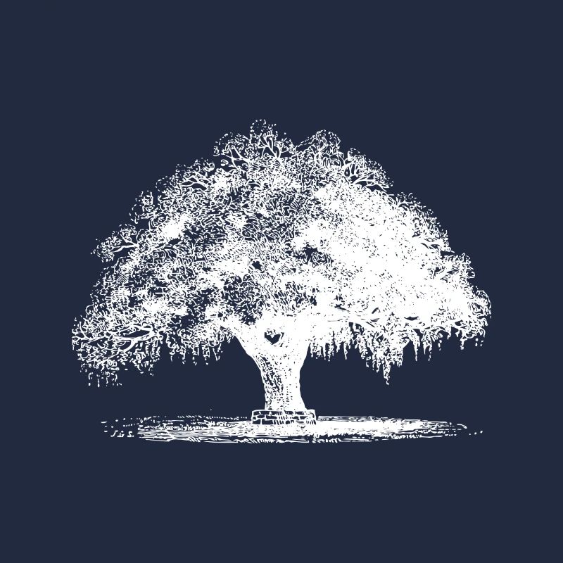 Baum