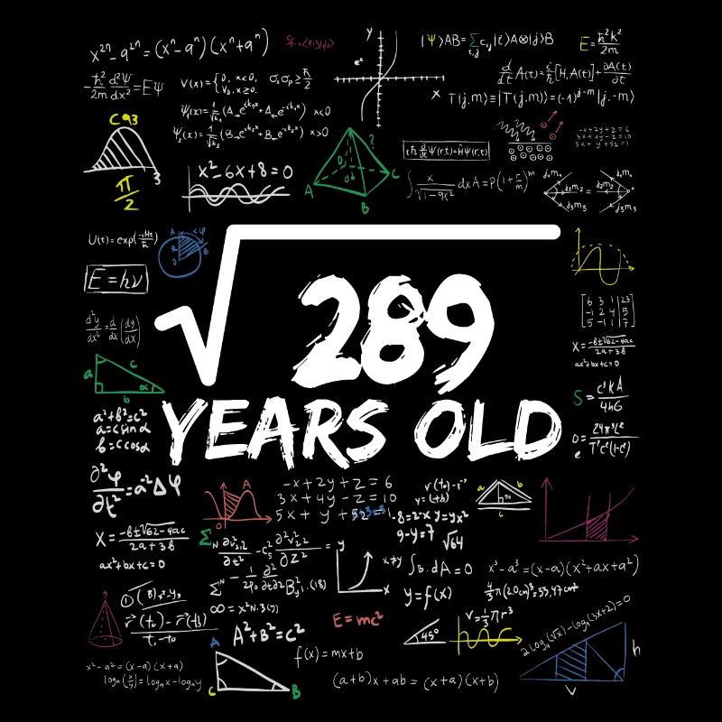 Square Root of 289 17TH Funny Math Birthday