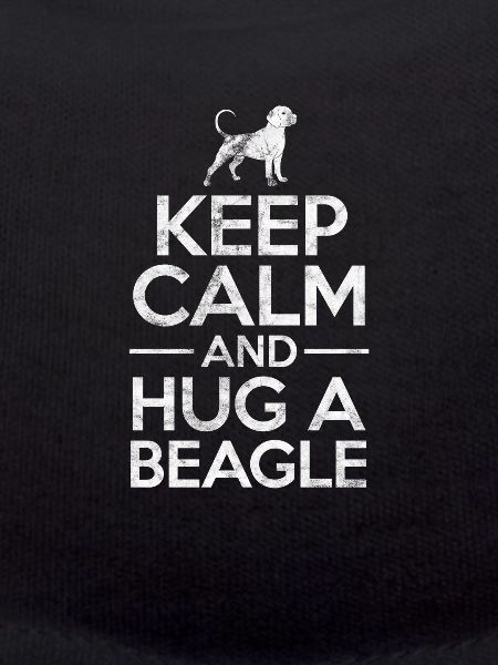 Beagle