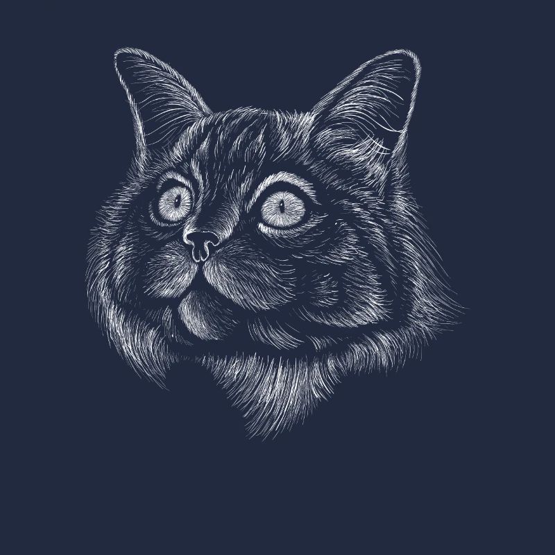 Trait de chat Lignes de dessin réalistes