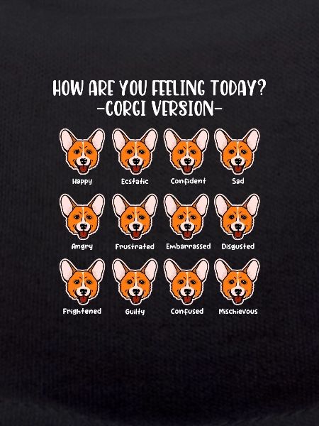 Corgi