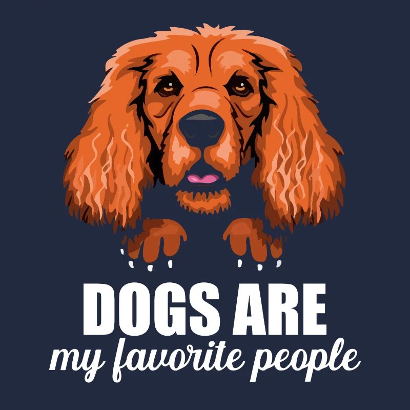 Cocker Spaniel Hunde Sind Lieblingsmenschen