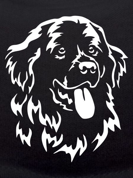 Newfoundland Head "Black Edition"