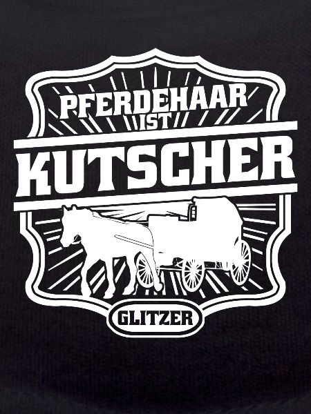 Kutscher Kutsche Fuhrmann Pferdekutsche