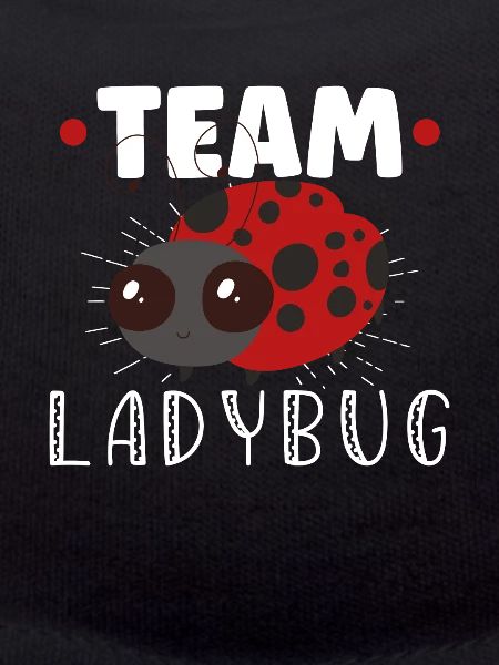 Ladybug Ladybug Entomology Insects