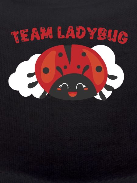 Ladybug Ladybug Entomology Insects