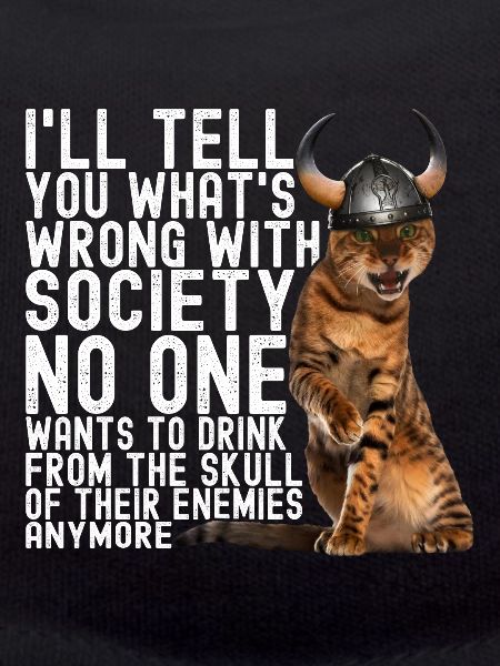 Viking Cat