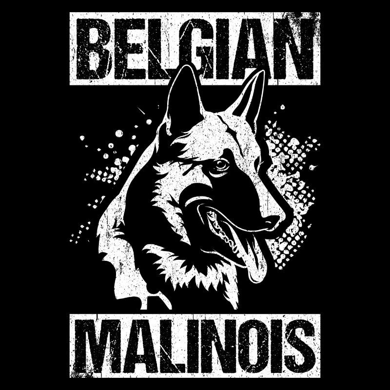 Belgian Malinois Hunde