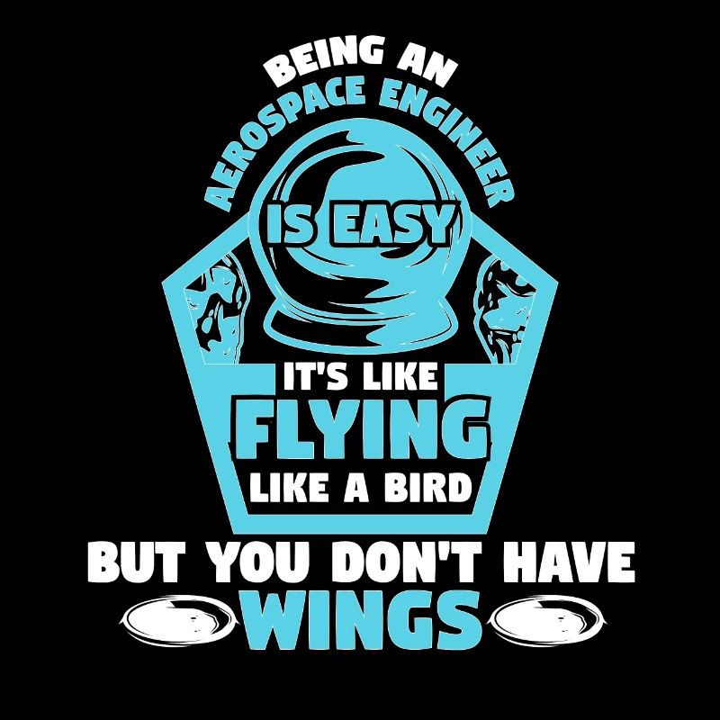Aerospace Engineering Is Easy Bird Wings