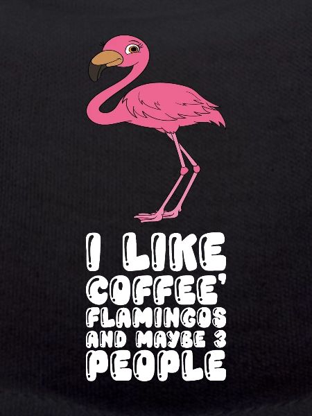 Funny flamingo graphics