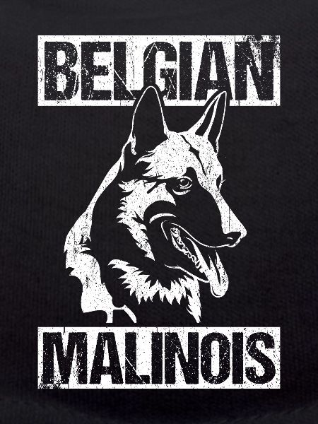 Belgian Malinois Hunde