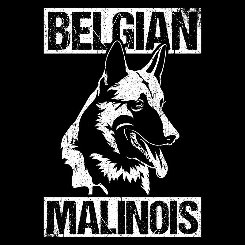 Belgian Malinois Hunde