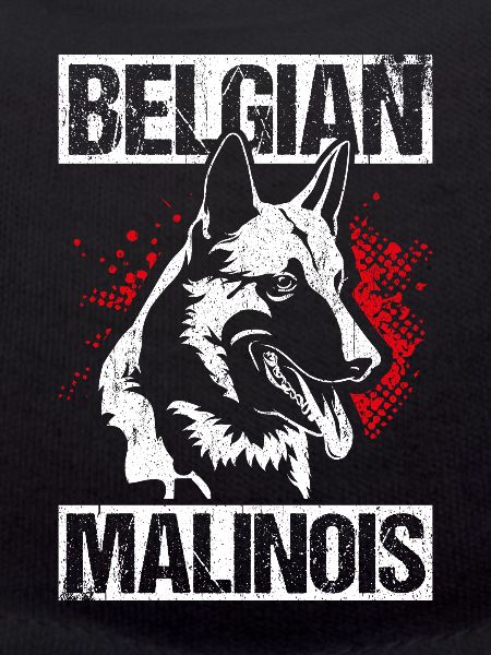 Belgian Malinois Hunde