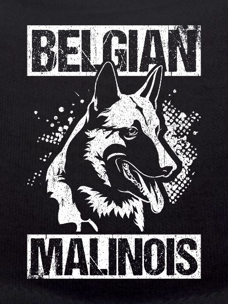 Belgian Malinois Hunde