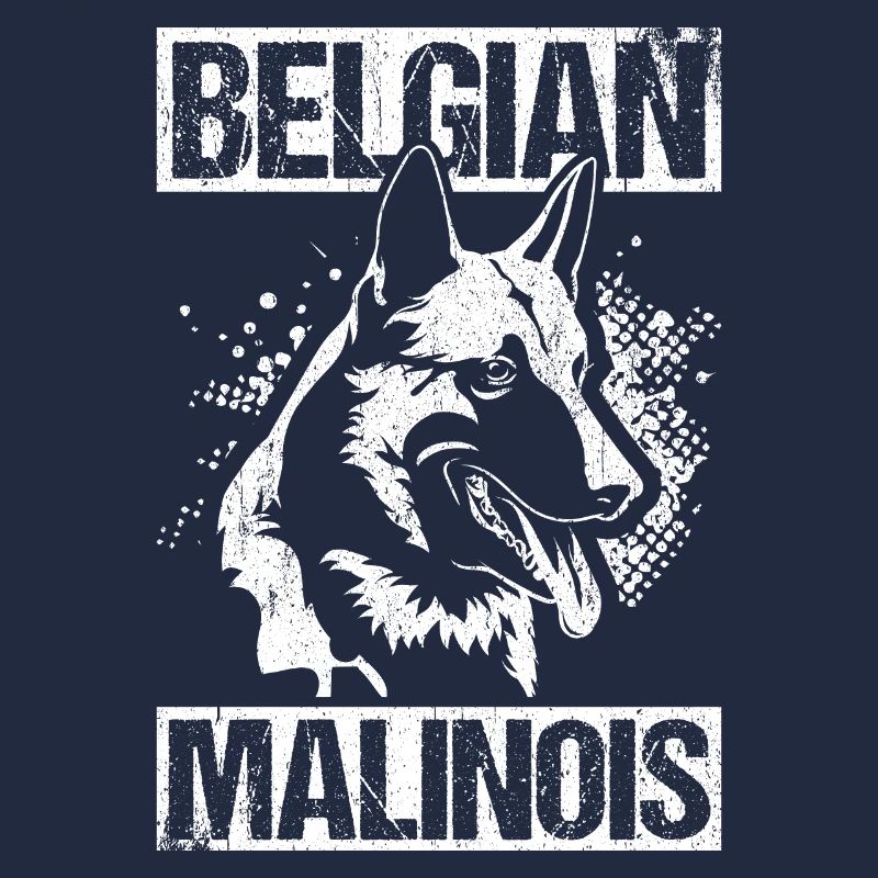 Belgian Malinois Hunde