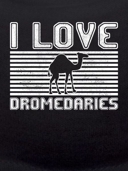 I love dromedaries