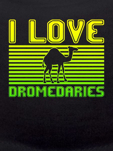 I love dromedaries