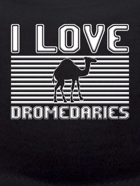 I love dromedaries