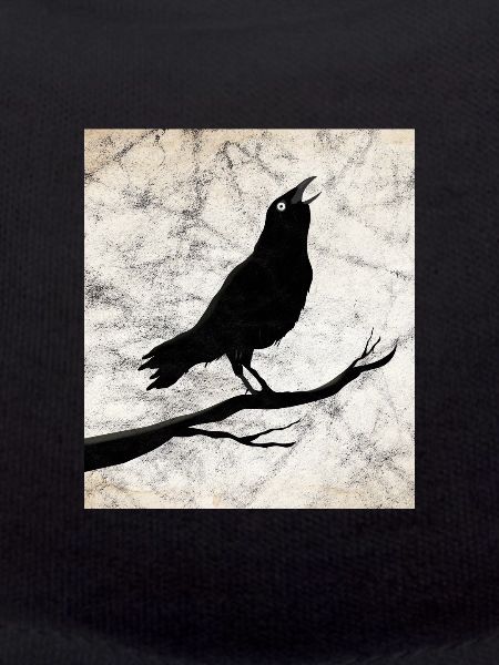 Raven