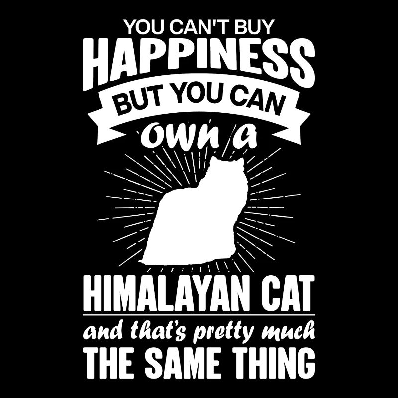 Peut acheter un chat de l’Himalaya