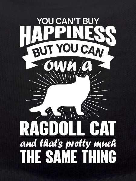 Peut acheter un chat Ragdoll