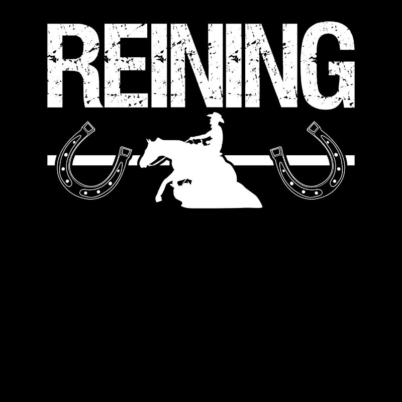 Reining Sliding Horse Western Riding