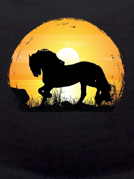 Coucher de soleil - Cheval frison