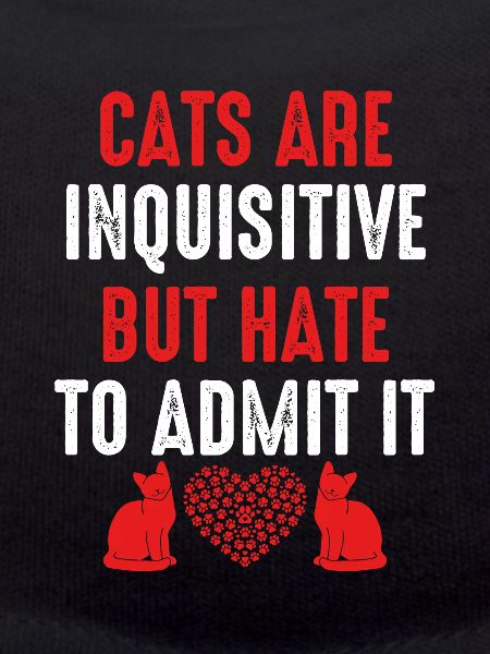 Cats are curious
