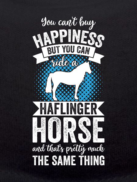 Riding - Haflinger Horse