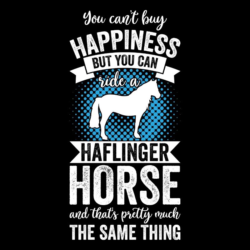 Équitation - Haflinger Horse