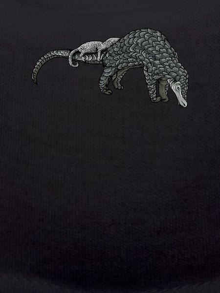 Schuppentier Pangolin Schuppen bedrohtes Tier