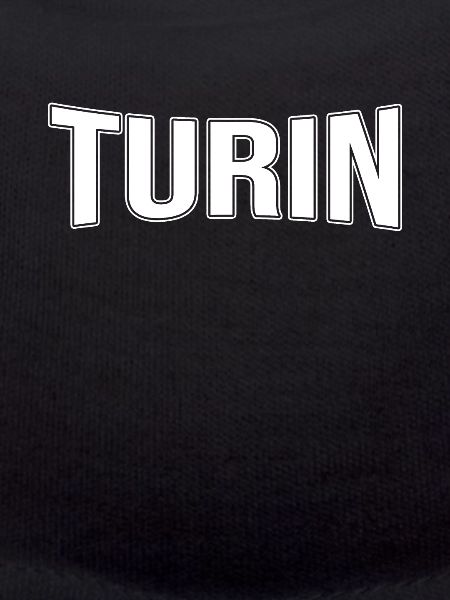 Turin