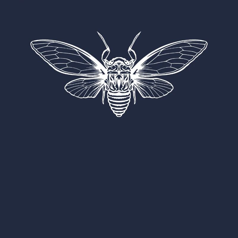 Cicada Cicada Brut Insect