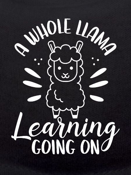 A Whole Lama Learns