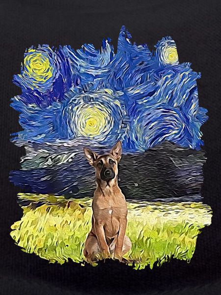 Starry Night - Belgian Shepherd