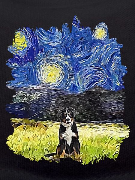Starry Night - Berner Berg