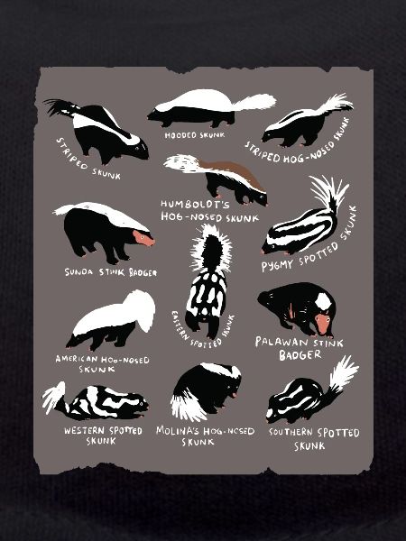 Skunk