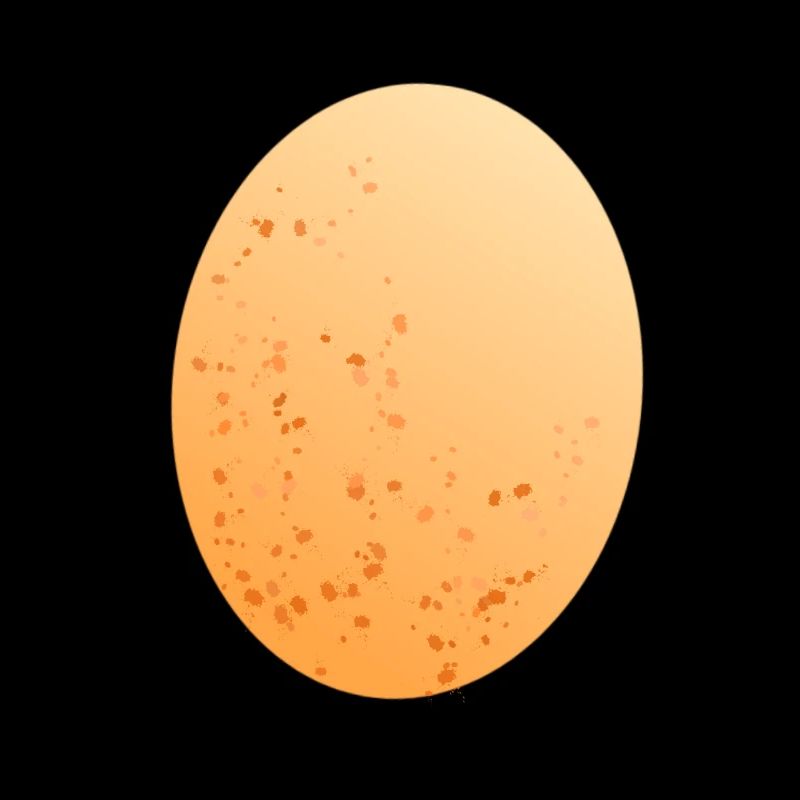 Oeuf oeuf poule