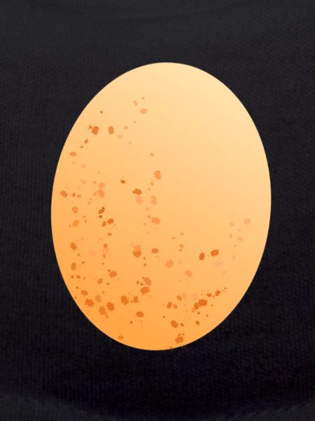 Egg chicken egg