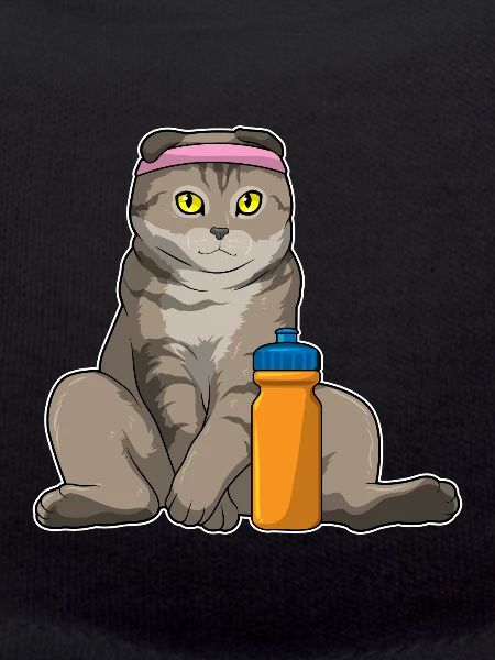 Cat Workout Gymnastics Fitness