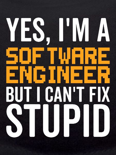 Stupid Software Engineer